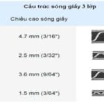 Thuật ngữ bao bì sóng
